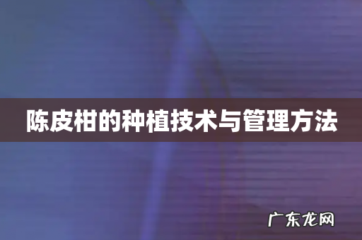 陈皮柑的种植技术与管理方法