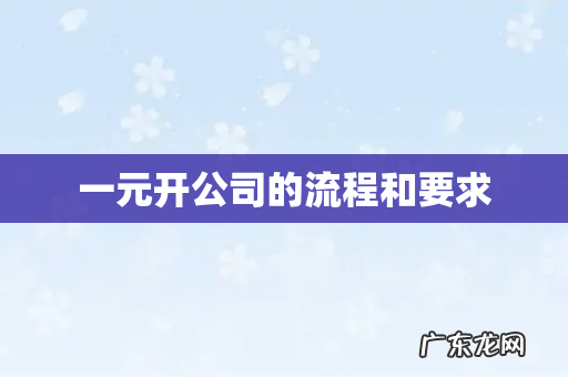 一元开公司的流程和要求