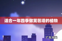 适合一年四季做篱笆墙的植物