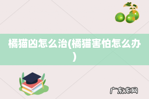 橘猫害怕怎么办 橘猫凶怎么治