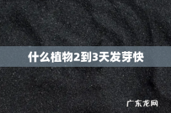 什么植物2到3天发芽快