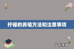 柠檬的养殖方法和注意事项