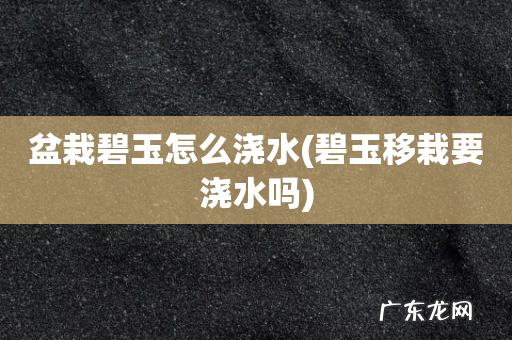 碧玉移栽要浇水吗 盆栽碧玉怎么浇水