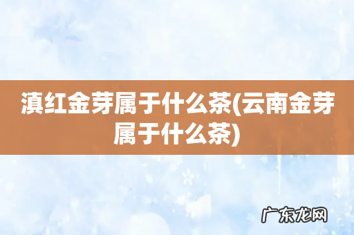 云南金芽属于什么茶 滇红金芽属于什么茶