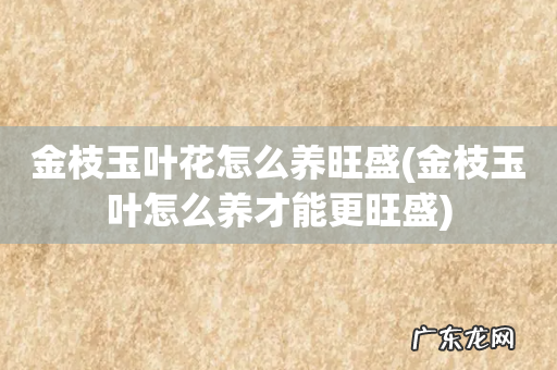 金枝玉叶怎么养才能更旺盛 金枝玉叶花怎么养旺盛