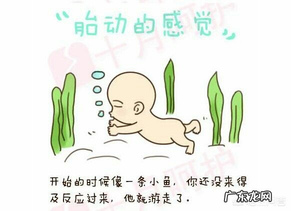 怀孕16周的孕妇就感觉到胎动了正常吗?有哪些需要注意的问题?