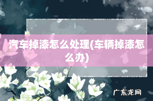 车辆掉漆怎么办 汽车掉漆怎么处理