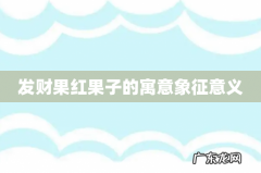 发财果红果子的寓意象征意义
