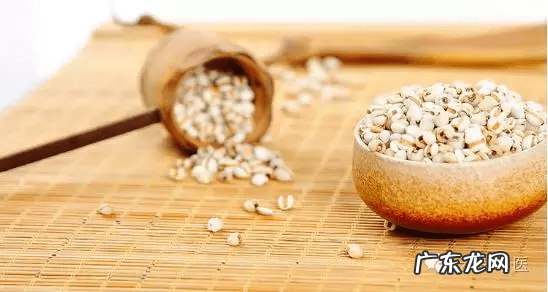 薏苡仁和薏米的区别 薏仁是什么东西
