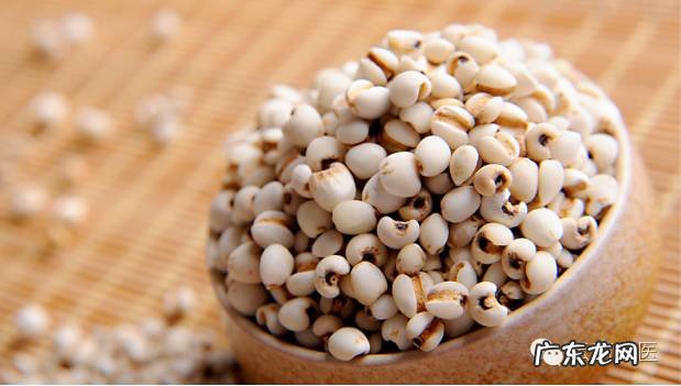 薏苡仁和薏米的区别 薏仁是什么东西