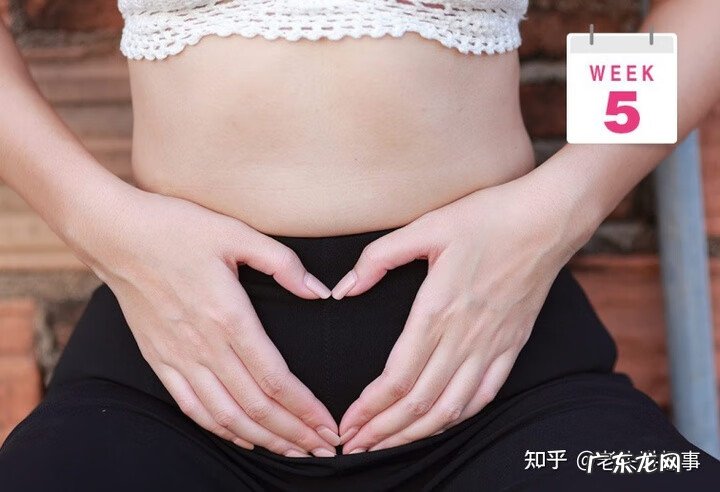 7个月大的胎儿图片 7个月的胎儿图