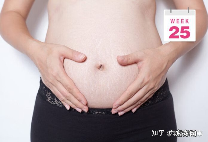 7个月大的胎儿图片 7个月的胎儿图