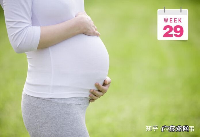 7个月大的胎儿图片 7个月的胎儿图