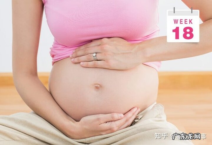 7个月大的胎儿图片 7个月的胎儿图