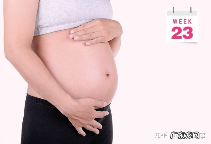 7个月大的胎儿图片 7个月的胎儿图