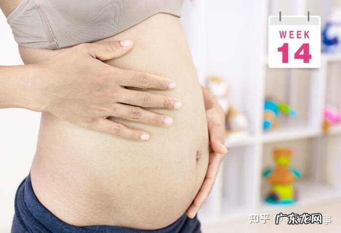 7个月大的胎儿图片 7个月的胎儿图