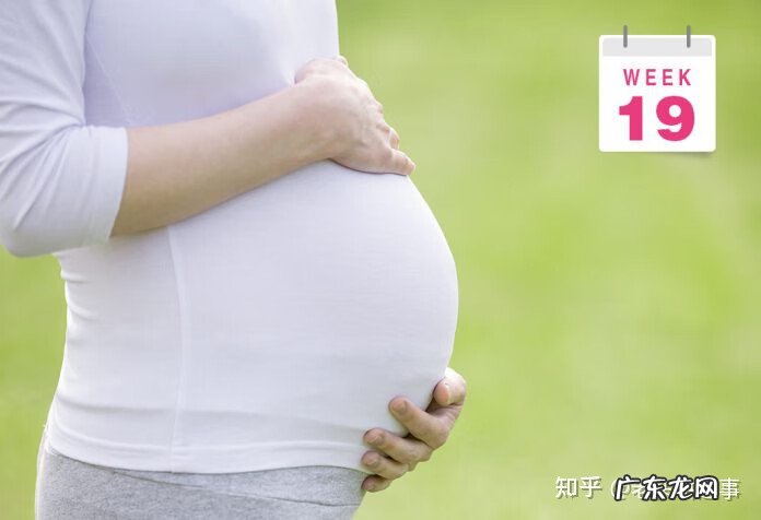 7个月大的胎儿图片 7个月的胎儿图