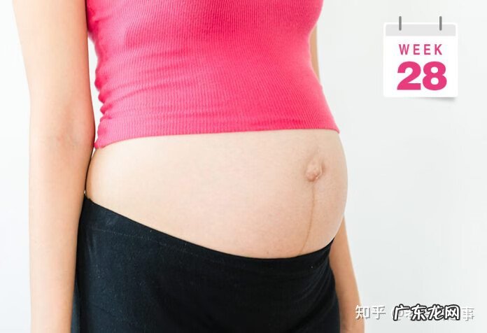 7个月大的胎儿图片 7个月的胎儿图