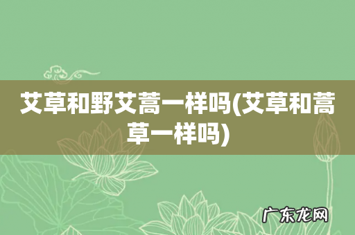 艾草和蒿草一样吗 艾草和野艾蒿一样吗