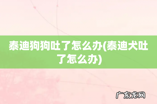 泰迪犬吐了怎么办 泰迪狗狗吐了怎么办