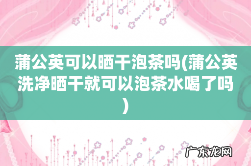 蒲公英洗净晒干就可以泡茶水喝了吗 蒲公英可以晒干泡茶吗