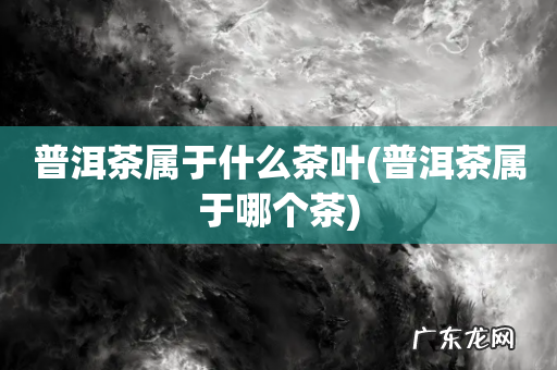 普洱茶属于哪个茶 普洱茶属于什么茶叶
