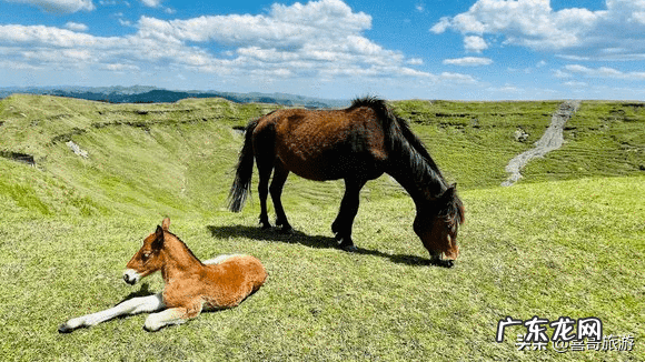 毕节风水故事 毕节最好玩的地方是哪里