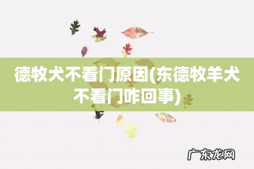 东德牧羊犬不看门咋回事 德牧犬不看门原因