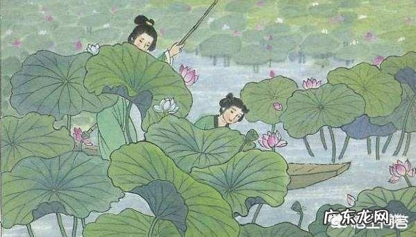 王昌龄的《采莲曲》描写的是采莲姑娘的什么品质?