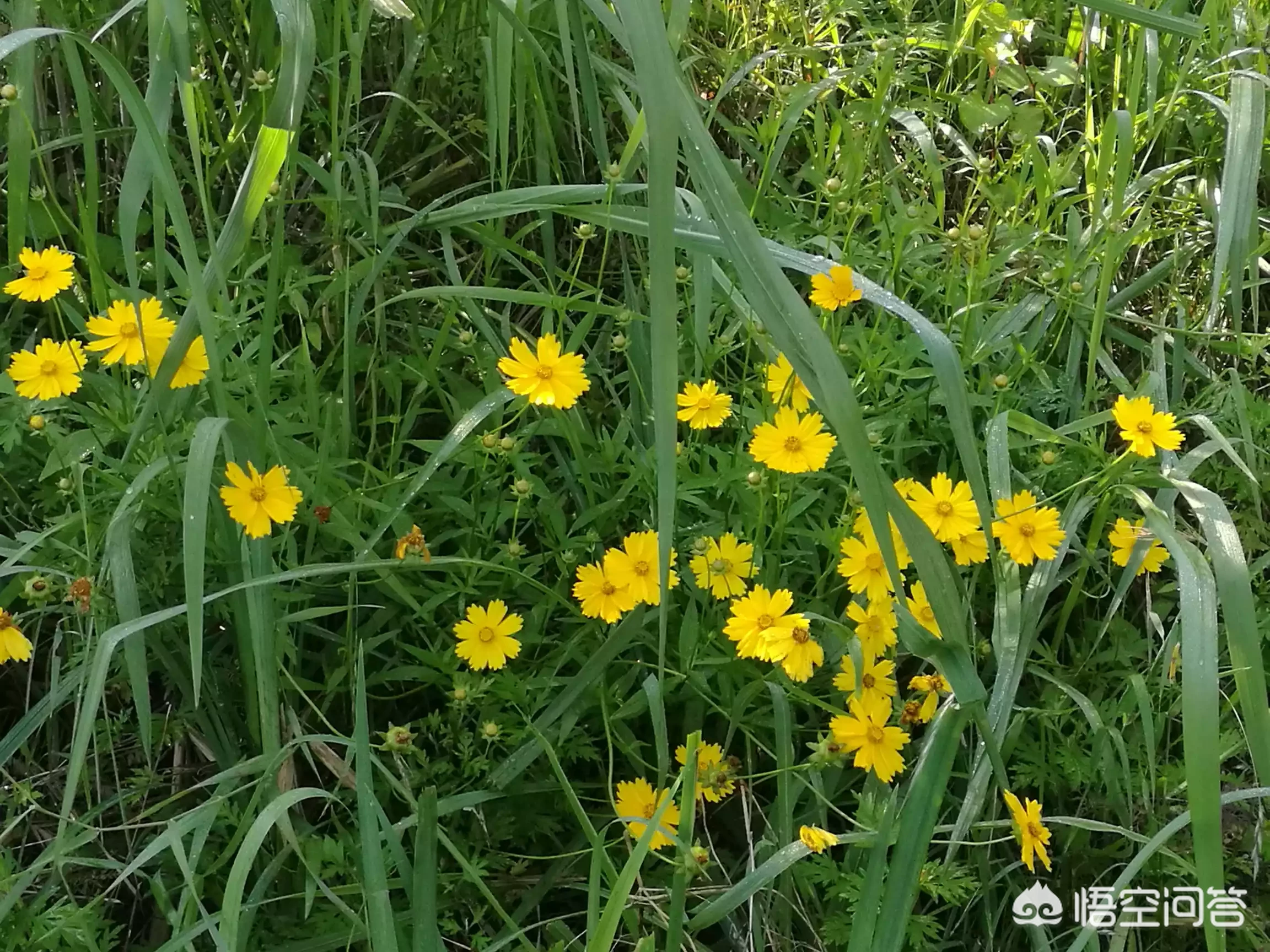 怀孕6个月了,宝宝好久才动一次怎么回事?胎动怎么样才算正常?