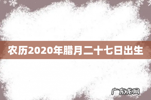 农历2020年腊月二十七日出生