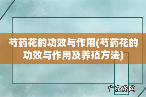芍药花的功效与作用及养殖方法 芍药花的功效与作用