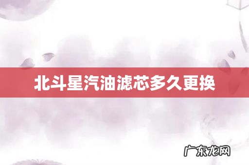 北斗星汽油滤芯多久更换