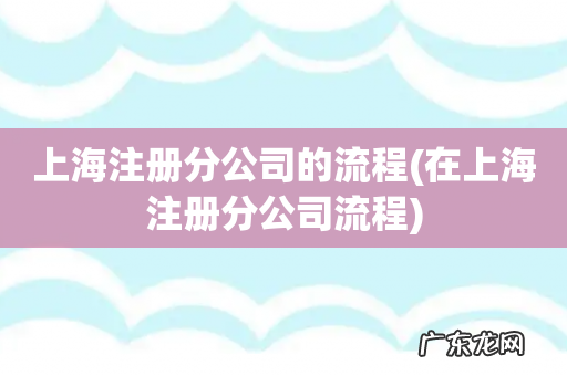 在上海注册分公司流程 上海注册分公司的流程