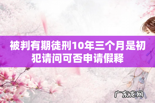 被判有期徒刑10年三个月是初犯请问可否申请假释