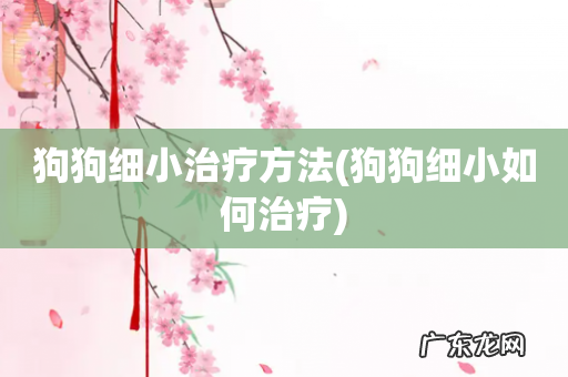 狗狗细小如何治疗 狗狗细小治疗方法