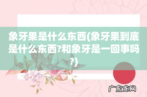象牙果到底是什么东西?和象牙是一回事吗? 象牙果是什么东西