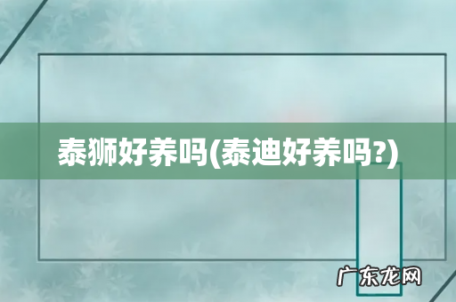 泰迪好养吗? 泰狮好养吗