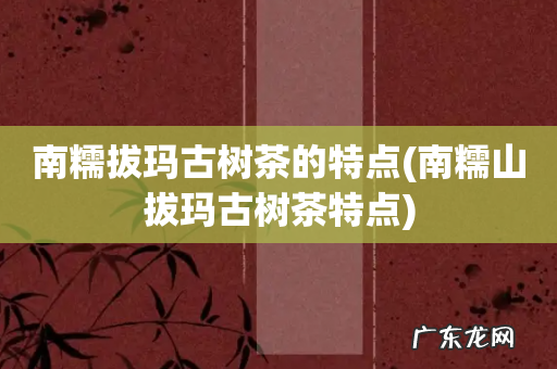 南糯山拔玛古树茶特点 南糯拔玛古树茶的特点