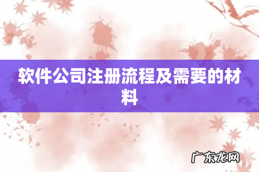 软件公司注册流程及需要的材料