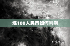 烧100人民币如何判刑