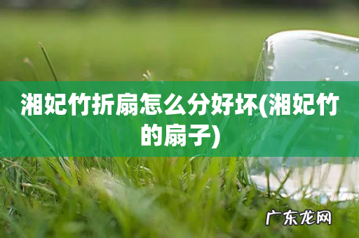 湘妃竹的扇子 湘妃竹折扇怎么分好坏