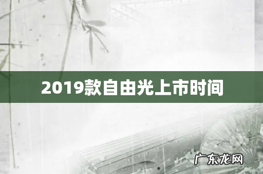 2019款自由光上市时间