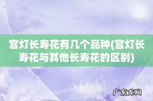 宫灯长寿花与其他长寿花的区别 宫灯长寿花有几个品种