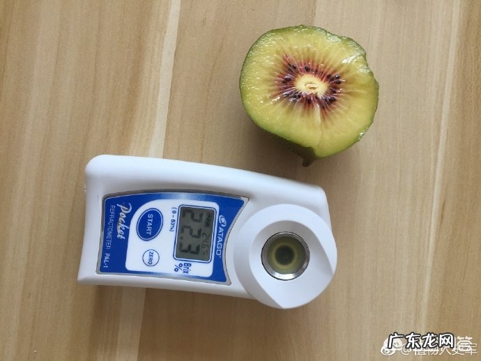 猕猴桃有多少品种?有哪些营养价值?