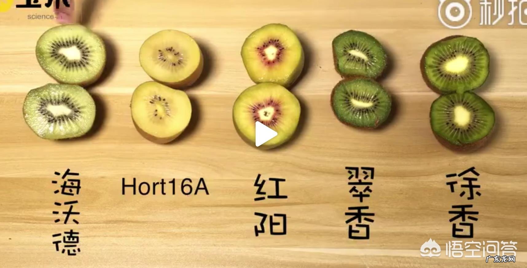 猕猴桃有多少品种?有哪些营养价值?