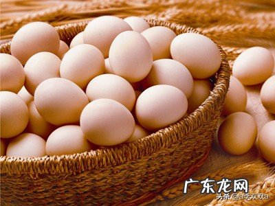 农村养鸡单靠卖鸡蛋可以挣钱吗?