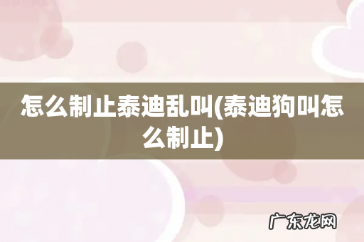 泰迪狗叫怎么制止 怎么制止泰迪乱叫