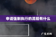 申请强制执行的流程有什么