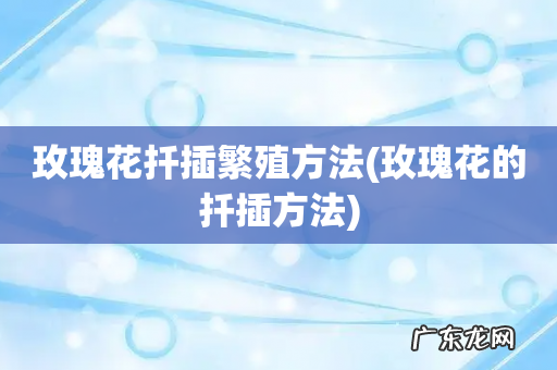 玫瑰花的扦插方法 玫瑰花扦插繁殖方法